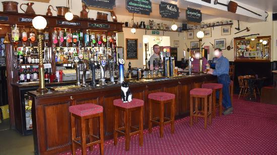 McGlynn's Free House